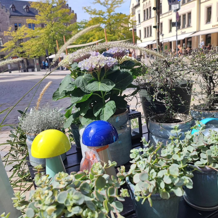Bunter Blumenstrauß mit orangefarbener Blüte, kleinen weißen und lila Blüten sowie verschiedenen grünen Blättern auf Steinboden liegend