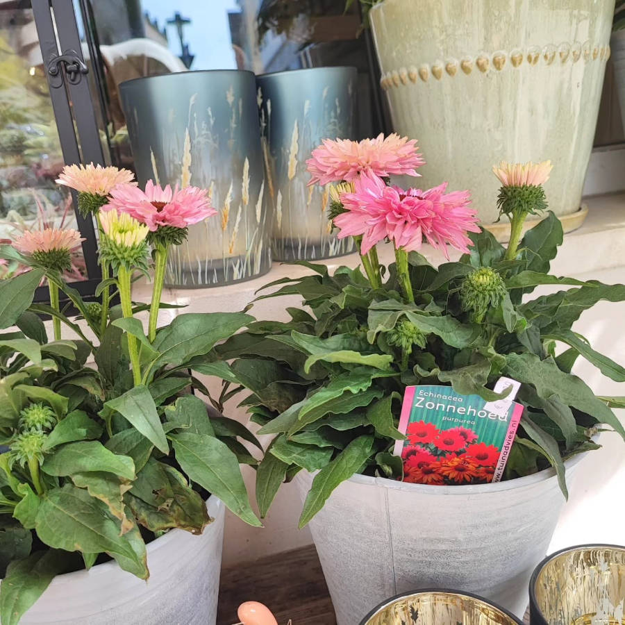 Bunte Blumenstrauß mit Rosen, Chrysanthemen, Beeren und getrockneten Gräsern vor unscharfem Holzhintergrund