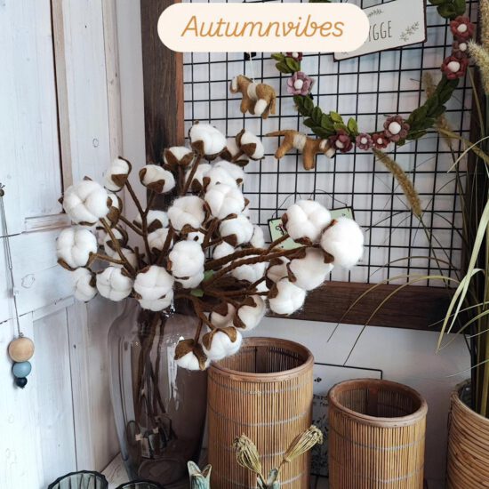 Herbsimpressionen