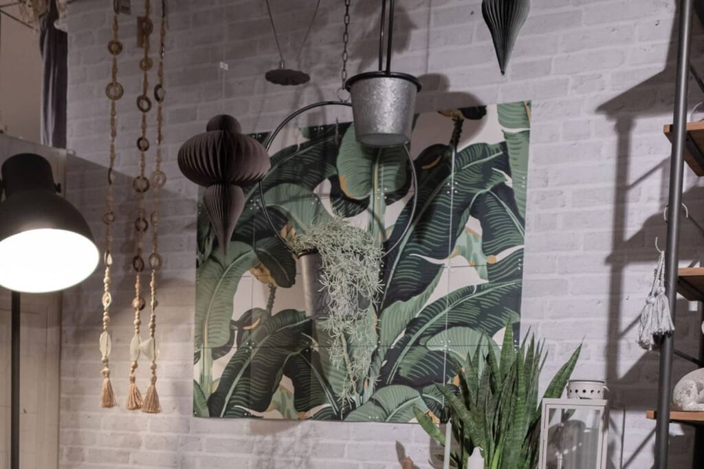 Urwald 79,- Euro